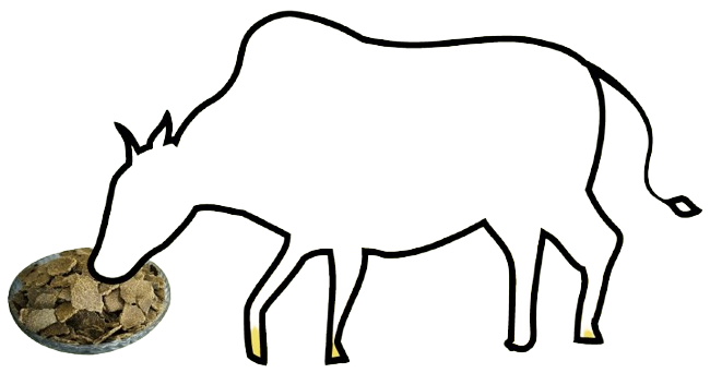 eating-cow-img
